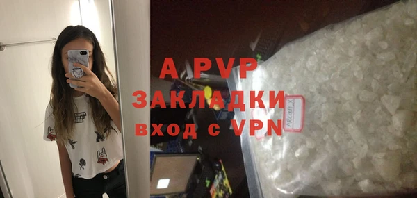 амф Вяземский