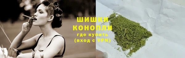 амф Вяземский