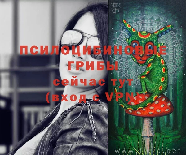 шишки Горно-Алтайск