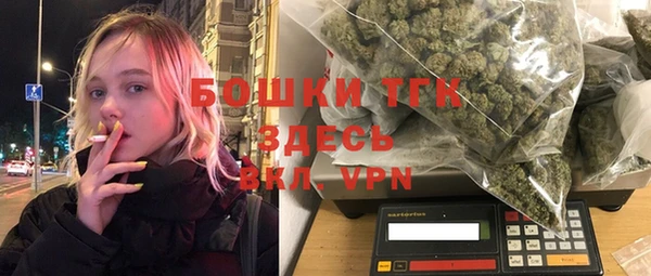 амф Вяземский