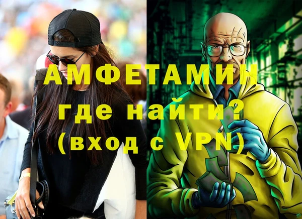 амф Вяземский