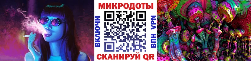 Купить где  Красный Холм  Галлюциногенные грибы мицелий 